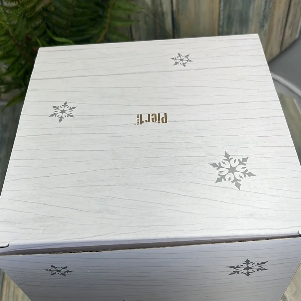 ⭐️Pier 1 imports Santa musical snow globe jingle bells new in box